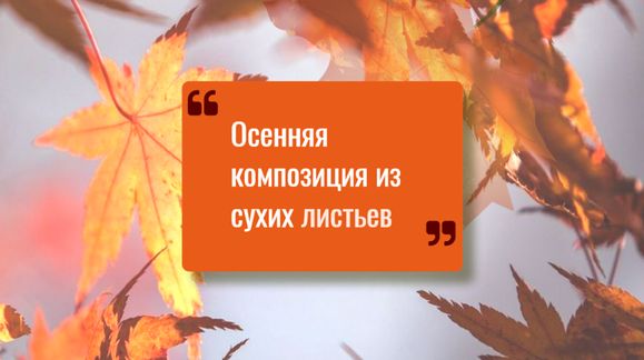 016yaz sm